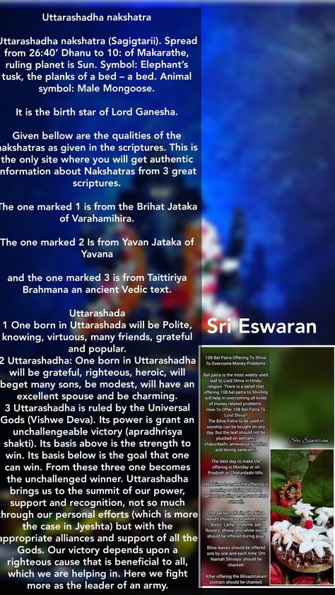 Uttarashadha nakshatra  Uttarashadha nakshatra (Sagigtarii). Spread from 26:40’ Dhanu to 10: of Makarathe, ruling planet is Sun. Symbol: Elephant’s tusk, the planks of a bed – a bed. Animal symbol: Male Mongoose.  It is the birth star of Lord Ganesha.  Given bellow are the qualities of the nakshatras as given in the scriptures. This is the only site where you will get authentic information about Nakshatras from 3 great scriptures.  The one marked 1 is from the Brihat Jataka of Varahamihira.  The Uttara Ashada Nakshatra, Animal Symbol, Sun Symbol, Vastu Tips, Animal Symbolism, Puja Room, Ganesha Art, Vedic Astrology, Lord Ganesha