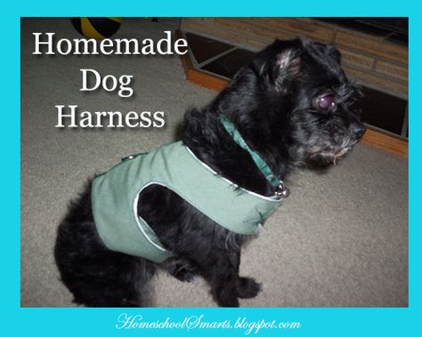 Dog Harness Pattern Free, Harness Pattern, Animal Tips, Dog Harness Pattern, Vest Pattern Free, Animal Ideas, Small Dog Harness, Dog Vest Harness, Mini Dogs