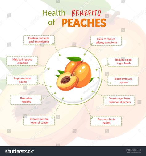 Peach Benefits Health, Benefits Of Peaches, Peach Benefits, Types Of Peaches, Health Benefits Of Peaches, Fruits And Their Benefits, Peach Varieties, Reduce Blood Sugar, Web Mockup