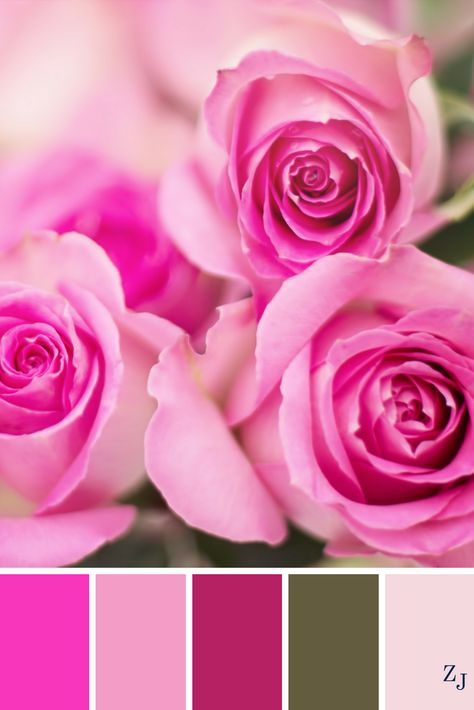 ZJ Colour Palette 497 #colourpalette #colourinspiration Pink Complimentary Colors, Colors Of The World, Paint Color Palettes, Design Seeds, Color Crush, Complimentary Colors, Color Psychology, Colour Board, Color Swatch