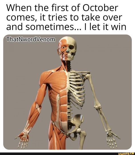 When the first of October comes, it tries to take over and sometimes... I let it win ThatherdVenom a – popular memes on the site iFunny.co #wins #memes #thatniggavenom #thatnwordvenom #dank #dankmeme #dankmemes #spicy #funny #spooky #scary #skeleton #when #first #october #comes #tries #take #sometimes #let #win #thatherdvenom #pic