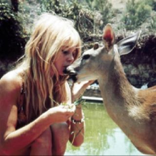 So beautiful Bardot Brigitte, Bridgette Bardot, Bridget Bardot, Ursula Andress, Yoga Sutras, Isabelle Adjani, Animal Rights Activist, Mazzy Star, Free People Clothing Boutique