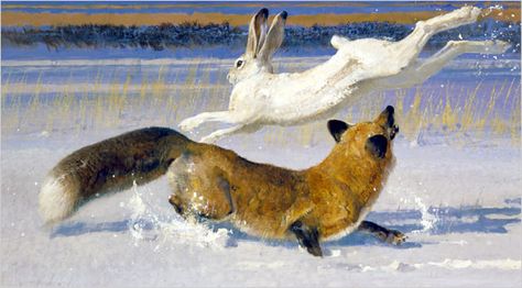 Animals Running, Fox Poster, Hunting Art, Wildlife Artwork, Landscape Sky, Wildlife Paintings, Wildlife Artists, Fox Art, Animals Artwork