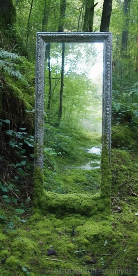 Enchanted Forest Mirror, Wallpaper Mirror, Mossy Forest, Castle Illustration, Deco Champetre, Mobile Phone Wallpaper, Classic Mirror, Arte Alien, Wallpaper S