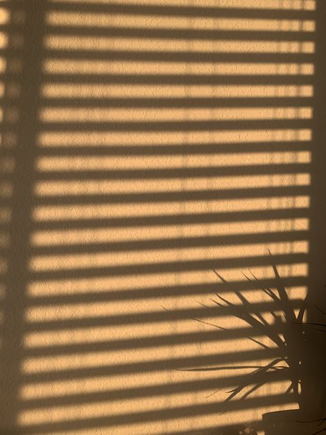 Sunset Window Shadow Aesthetic, Window Shadow Image, Aesthetic Background For Photoshoot, Golden Hour Window Shadow, Sun Shadow Window, Window Shadow Photography, Window Sunlight Aesthetic, Sunset Shadow Aesthetic, Real Background Images For Editing