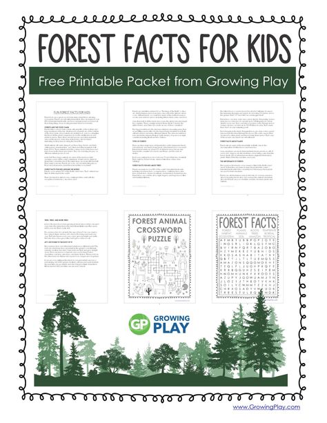 Fun Forest Facts for Kids - Growing Play Forest Facts, Forest Unit, Biomes Activities, Forest Activities, Facts About Plants, Animal Facts For Kids, Forest Biome, Plants Worksheets, Conservation Activities