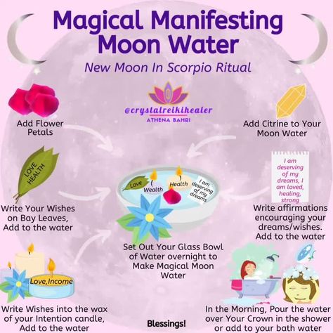 Moon In Aquarius, Moon In Leo, Moon Lover, Moon Water, Love Moon, Eclectic Witch, Intention Candles, Scorpio Moon, Baby Witch