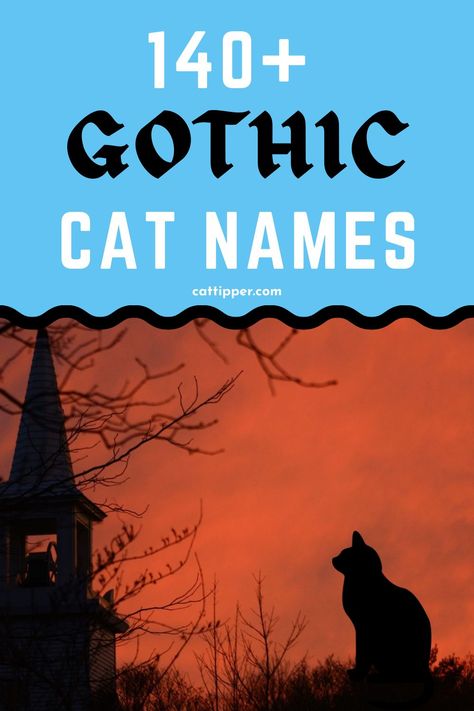 Familiars Witch Animal Names, Black Cats Name Ideas, Fall Names For Cats, Unique Cat Names Aesthetic, Cottagecore Cat Names, Mainecoon Cat Names, Make Cat Names, Goth Cat Names, Name For Black Cat