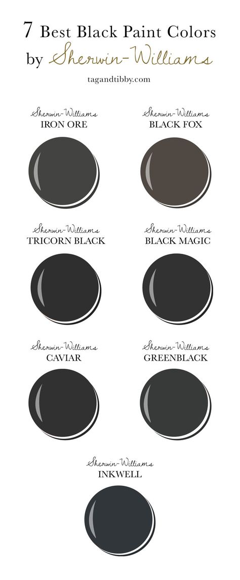 Black Fox Exterior Trim, Sw Black Fox Exterior, Sw Black Magic Exterior, Tricorn Black Trim Exterior, Black Fox House Exterior, Black With Green Undertone Paint, Sw Tricorn Black Exterior, Black Magic Paint Color, Black Paint With Green Undertones