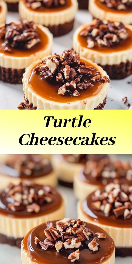 #Mini Turtle Cheesecakes with Caramel Pecan Swirl - Enjoy these delightful mini cheesecakes with a blend of caramel, pecans, and chocolate ganache. A perfect treat for any occasion. Mini Cheesecakes Caramel, Chocolate Caramel Cheesecake Bites, Turtle Cheesecake Cupcakes, Mini Turtle Cheesecake Bites, Mini Turtle Cheesecake Recipe, Mini Turtle Cheesecakes, Turtle Cheesecake Dip, Turtle Cheesecake Recipe Easy, Mini Turtle Cheesecake