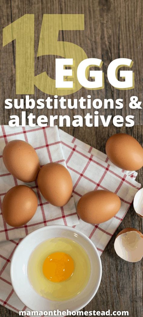 Substitutes For Eggs, Egg Replacement In Baking, Eggs In Air Fryer, Egg Breakfast Recipes, Freeze Eggs, Egg And Potato, Egg Bakes, White Recipes, Egg Substitutes