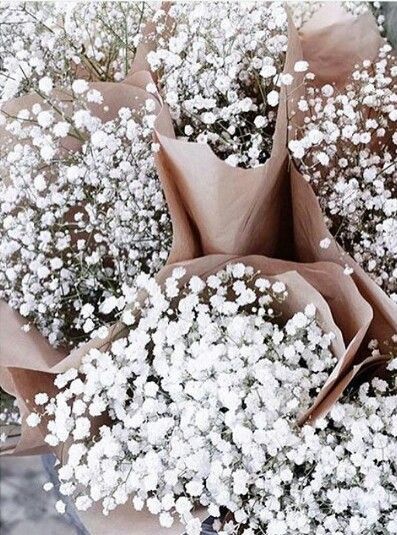 White flower arrangements like crisp and clean baby's breath Breath Flowers, Breakfast At Tiffany's, Garden Cafe, Pretty Plants, Baby's Breath, Gardening Supplies, Arte Floral, Brown Paper, Beautiful Blooms