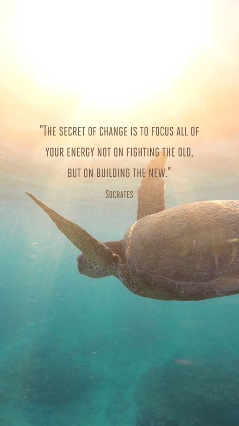 Turtle Wisdom Quotes, Go Within Quotes, Inspiring Spiritual Quotes, Turtle Quotes Inspiration, Changes In Life Quotes, Turtles Quotes, Quote About Change, Changes Quotes, Life Wisdom Quotes