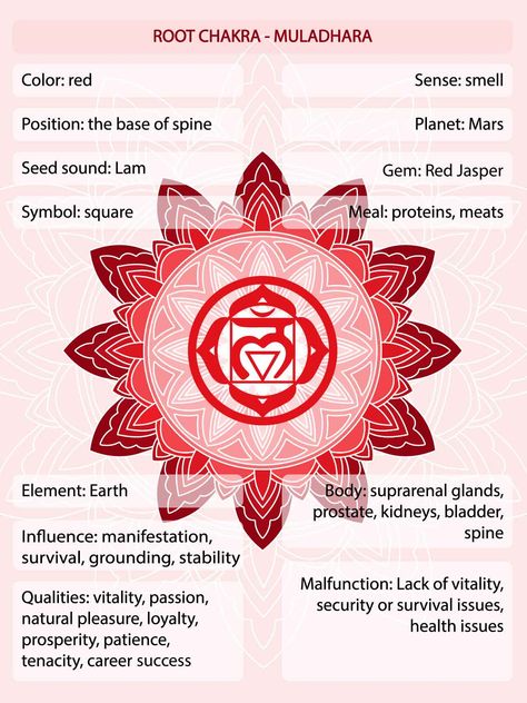 Root Chakra Element, Root Chakra Meaning, Root Chakra Activities, Root Chakra Tattoo, Chakra Unblocking, Root Chakra Art, Chakra Elements, Aligning Chakras, Chakra Meaning