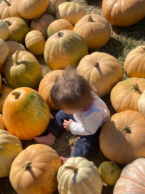 Family Halloween Aesthetic, Baby No Face Photos, Baby Pumpkin Patch, Fake Scenarios, Baby Aesthetic, Tiny People, Dream Future, Dream Family, Nourishing Foods