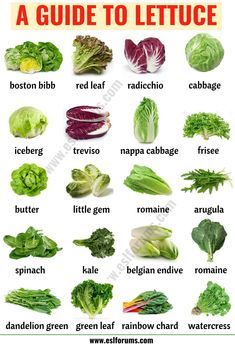 Types of Lettuce: 21 Different Lettuce Types with ESL Picture - ESL Forums Types Of Lettuce, List Of Vegetables, Ambrosia Salad, Types Of Vegetables, Food Charts, Food Info, Cooking Basics, Idee Pasto Sano, Food Facts