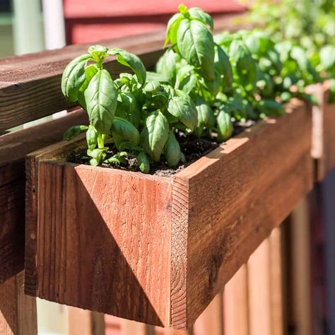 Hang railing planters on your deck rail without special hardware! These simple planter boxes are perfect for herbs or cascading flowers around your deck railing! Diy Railing, Railing Planter Boxes, Balcony Railing Planters, Herb Planter Box, Deck Railing Planters, Vertical Garden Wall Planter, Planter Box Plans, Herb Garden Planter, Deck Planters