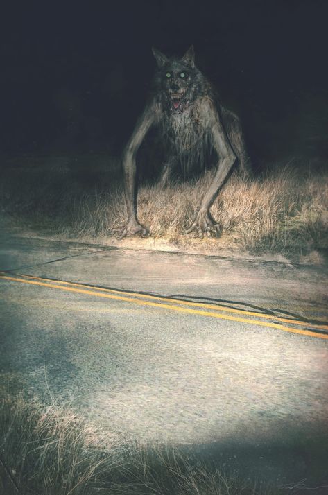 Dark Werewolf Art, The Beast Of Bray Road, Creepy Forest Creatures, Creepy Monster Art, Werewolf Cute, Creepy Cryptids, Dark Fantasy Monster, Dogman Cryptid, Beast Of Bray Road