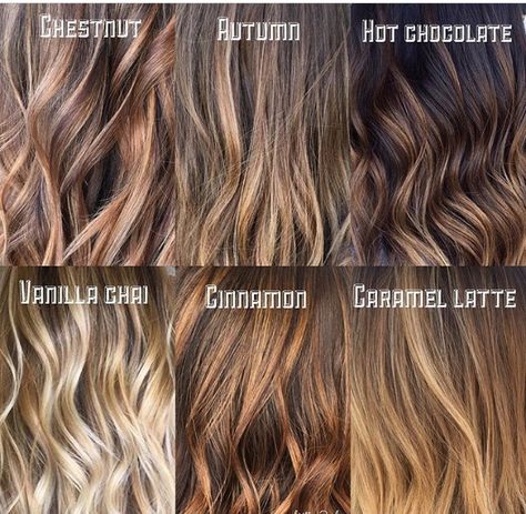 Vanilla chai or chestnut? Chestnut With Blonde Highlights, Almond Butter Hair Color, Vanilla Latte Hair Color, Chai Latte Hair Color, Vanilla Highlights Brown Hair, Chai Hair Color, Vanilla Chai Hair Color, Caramel Latte Hair, Chestnut Blonde Hair