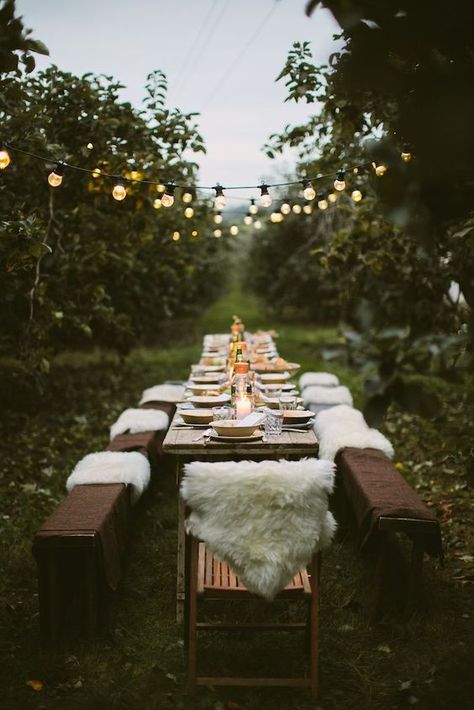 Food Conversation, Hygge Wedding, Secret Supper, Autumn Gathering, Apple Orchard Wedding, Outdoor Thanksgiving, Summer Wedding Ideas, Fall Dinner Party, Hygge Style