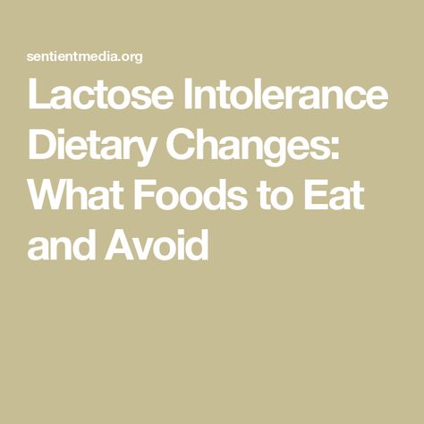 Lactose Intolerance Dietary Changes: What Foods to Eat and Avoid Fructose Intolerance Diet Recipes, Lactose Free Foods, Lactose Intolerance Diet, Fructose Intolerance Diet, Lactose Free Diet Plan, Lactose Intolerant Diet, Lactose Intolerant Recipes, Lactose Intolerant Symptoms, Fructose Intolerance