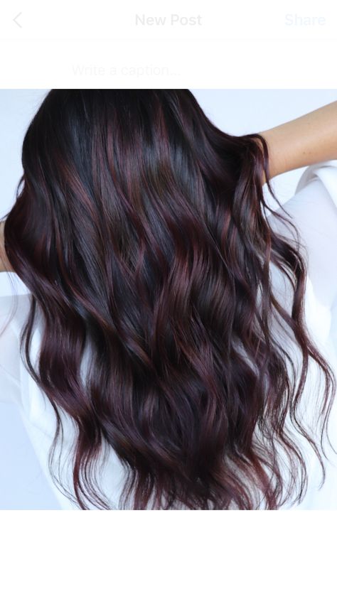 Dark Hair Color Ideas For Winter Long, Dark Color Balayage Hair, Brunette Balayage Hair With Red, Dark Hair Burgundy Balayage, Dark Hair With Black Highlights, Dark Hair Red Lowlights, Colors To Dye Dark Brown Hair Without Bleach, Dark Hair Fall 2023, Dark Brown With Burgundy Balayage