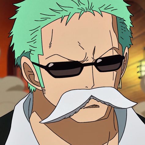 Zoro Icons, Manga Aesthetic, رورونوا زورو, Zoro Roronoa, One Piece Crew, Time Skip, Zoro One Piece, One Piece Comic