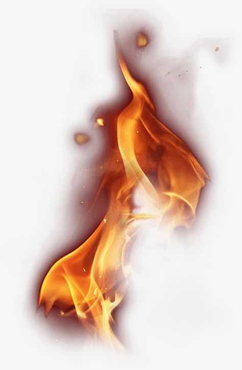 Fire Png, Fire Vector, Cobra Art, Photo Elements, Flame Tattoos, Fire Image, Flame Art, Fire Tattoo, Art Basics