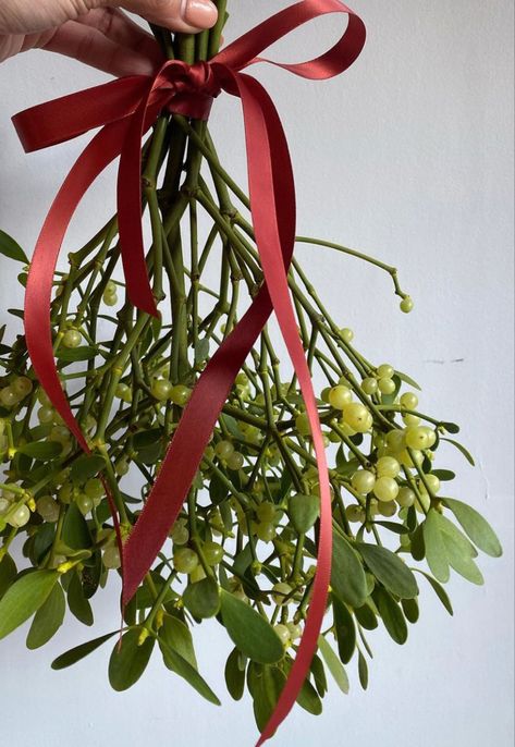 Mistletoe Photography, Christmas Mistletoe Aesthetic, Mistletoe Ideas, Mistletoe Aesthetic, Hanging Mistletoe, Current Aesthetic, Cottage Christmas, Cinder Block, Tree Saw