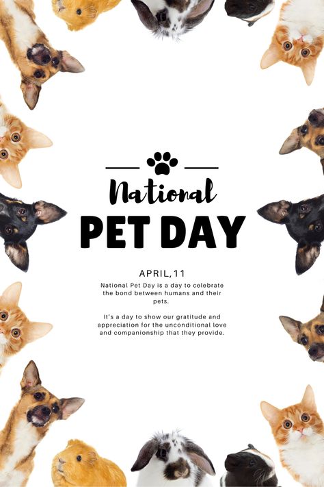 National Animal Day, Photography Flyers, National Pet Day, Dog Salon, National Puppy Day, Rottweiler Dog, Dog Poster, Pet Day, Animal Posters