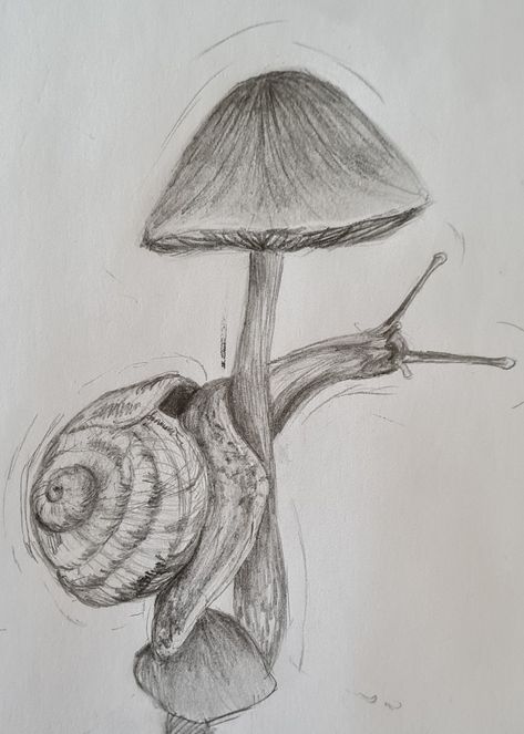 Sketch of a snail¿ #sketch Snail Sketch Simple, Snail Painting Acrylic, How To Draw A Snail, Snail Drawing Simple, Snails Drawing, Black Pen Design, Slug Drawing, Snail Sketch, Snail Artwork