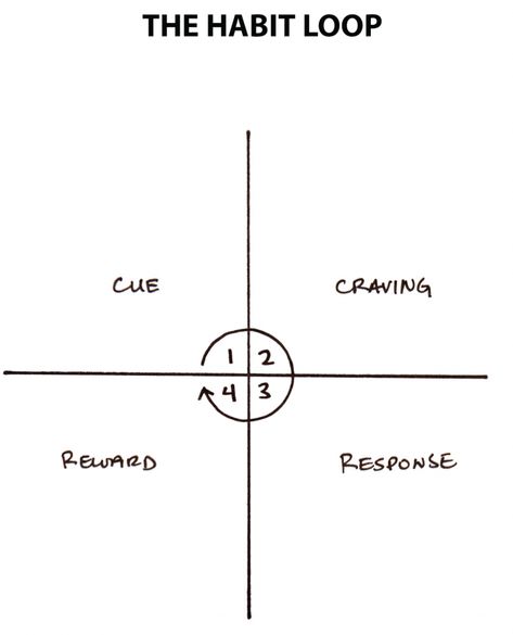 Habit Loop Examples, Habit Loop, Charles Duhigg, Habit Change, Building Habits, Build Habits, Habit Books, Behavioral Psychology, Precision Nutrition