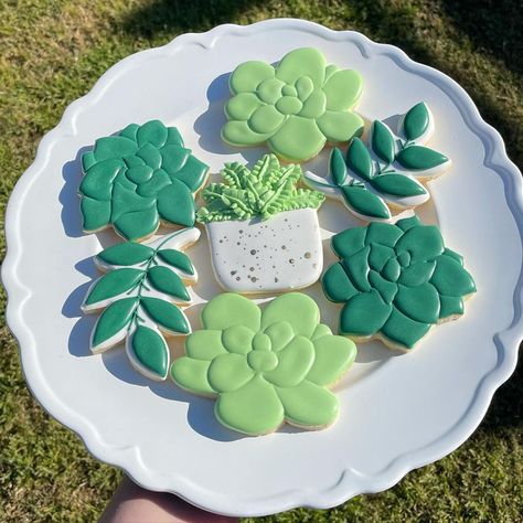 Succulent Sugar Cookies, Cactus Sugar Cookies, Succulent Cookies, Succulent Theme, Pot Cookies, Grad Party Decorations, Shower Cookies, Cookie Frosting, Baby Shower Cookies