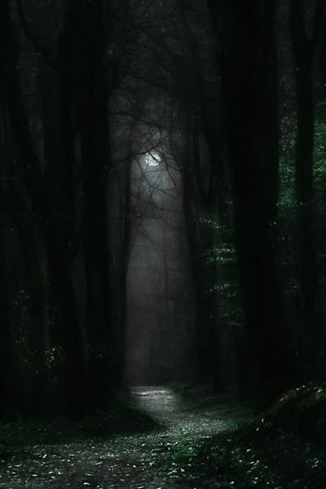 Dark Forest Aesthetic Night Moon, Earthy Wallpaper Phone, Dark Earthy Aesthetic, Dark Naturalism, Dark Forest Aesthetic, Dark Castle, Dark Landscape, Castle Aesthetic, Dark Green Aesthetic