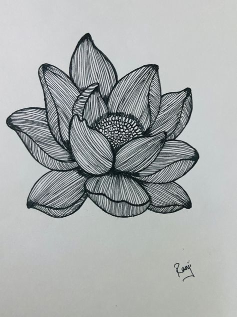 Zentangle lotus drawn with black artline fineliner Zentangle Lotus Flower, Lotus Zentangle, Zen Artwork, Flowers Lotus, Zentangle Flowers, Black And White Art Drawing, Sketches Simple, Art Cartoon, Trippy Art