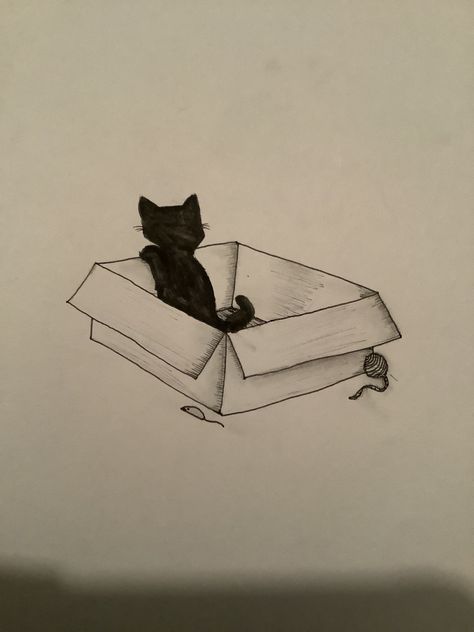 A cat. A box. A paper. (Sketchbook postings) Cat In Box Drawing, Cat In A Box Drawing, Box Drawing, Spanish Books, Cat Box, Sketchbook Art, Packing Design, Carton Box, Cat Playing