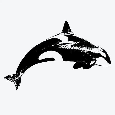 Inkbox Temporary Tattoos, Semi-Permanent Tattoo, One Premium Easy Long Lasting, Water-Resistant Temp Tattoo with For Now Ink - Lasts 1-2 Weeks, Orca Tattoo, Adria, 3 x 3 in Orca Art, Orca Tattoo, Inkbox Tattoo, Tattoo Signs, Temp Tattoo, Semi Permanent Tattoo, Black Ink Tattoos, Permanent Tattoo, Whale Shark