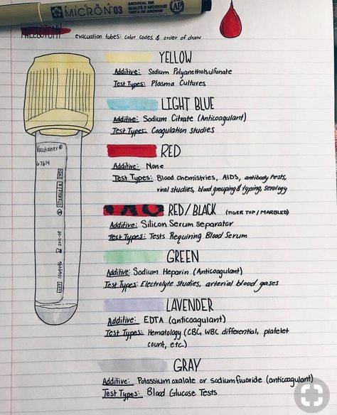 Pin by Madison Hensen on A&P HELP ‼️ | Nursing school survival, Medical assistant student, Nursing school notes Phlebotomy Study, Vet Tech School, Medical Assistant Student, Kedokteran Gigi, Nursing School Motivation, Nurse Study Notes, Nursing Student Tips, Medical Student Study, Medical Laboratory Science