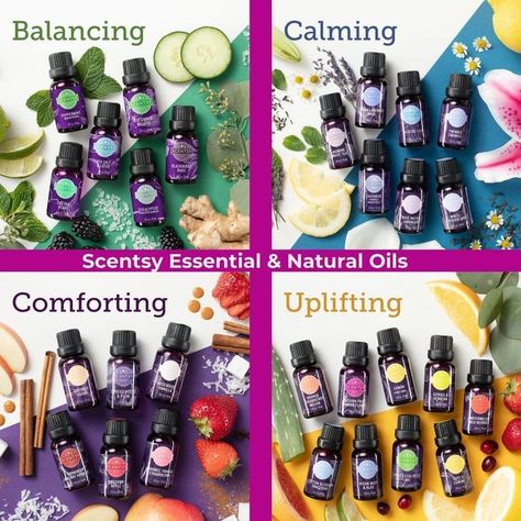 Scentsy Essential Oils, Scentsy Diffuser, Scentsy Oils, Scented Oil Diffuser, Eucalyptus Lavender, Scentsy Fragrance, Home Fragrance Accessories, Electric Candle Warmers, Essential Oil Scents