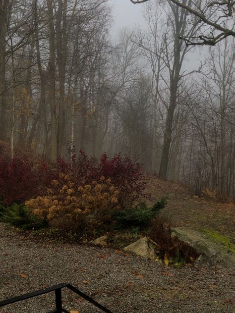 Foggy Fall Vibe, Cloudy Fall Day, Gray November, Grey November, Agggtm Aesthetic, Autumn Academia, Foggy Fall, Fall Landscapes, Autumn Court