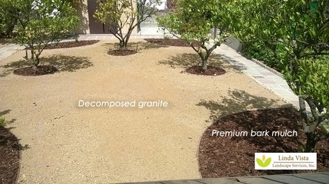 Decomposed granite and premium bark mulch in the California backyard orchard. Decompressed Granite Landscaping, Dg Landscaping Backyards, Backyard California, Southern California Backyard, Granite Patio, Backyard Orchard, California Landscaping, Inexpensive Backyard Ideas, Decomposed Granite Patio