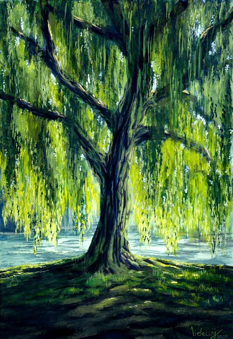 Willow Tree Art, Tree Painting Canvas, Canvas For Beginners, Small Canvas Paintings, Scenery Paintings, Canvas Painting Designs, Landscape Art Painting, Lukisan Cat Air, Nature Art Painting