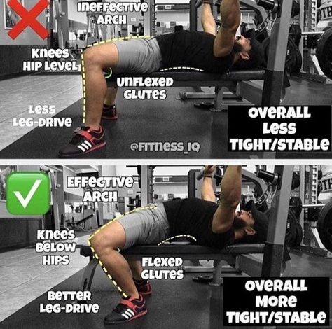 Technique For a Big Chest - How to Bench Press - GymGuider.com How To Do Bench Press, How To Bench Press Correctly, Bench Press Form, Bench Press Workout, Ectomorph Workout, Workout Man, Trening Sztuk Walki, Gym Tips, Weight Training Workouts