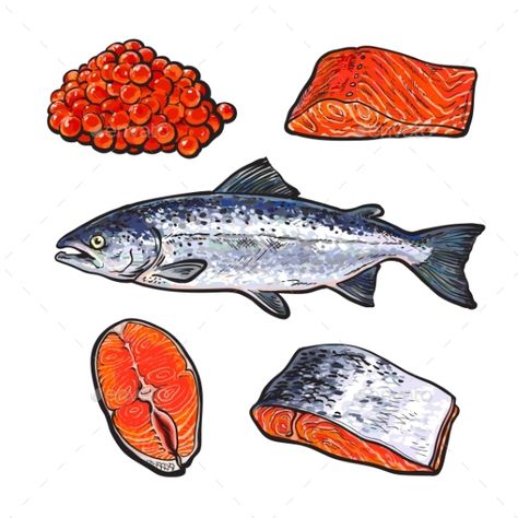 Salmon with Caviar and Fillets Salmon Drawing, Salmon Tattoo, Seafood Art, Fish Salmon, Food Sketch, Salmon Fish, Fish Illustration, Fish And Meat, Fish Drawings