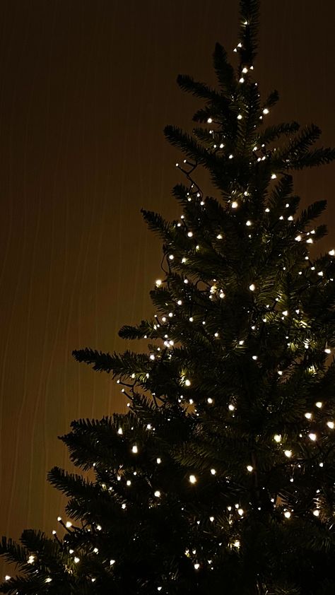 Dark Christmas Iphone Wallpaper, Christmas Tree Phone Background, Christmas Dark Wallpaper, Dark Christmas Background, Black Christmas Wallpaper Iphone, Christmas Night Wallpaper, Christmas Wallpaper Dark, Dark Winter Wallpaper, Black Christmas Wallpaper