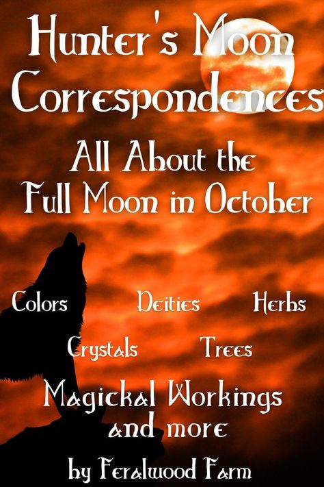 Learn about the Hunter's Moon, October's Full Moon. Learn the correspondences including colors, deities, herbs, crystals, trees, and more! #witchcraft #fullmoon October Full Moon Ritual, October Correspondences, Friday Correspondences, Hunters Moon Spell, Alt Names, Cold Moon Correspondences, Moon Correspondences, October Full Moon, Full Harvest Moon Spells