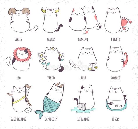 Vector set of cute cartoon zodiac cat vector illustration Cat Vector Illustration, Cat Vector, Cute Cartoon, Zodiac Signs, Stock Vector, Vector Illustration, Signs