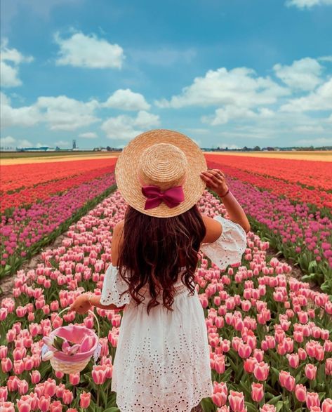 Spring Picture Ideas, Carlsbad Flower Fields, Amsterdam Photos, Spring Photoshoot, Flower Photoshoot, Tulip Festival, Tulips Garden, Farm Photo, Tulip Fields