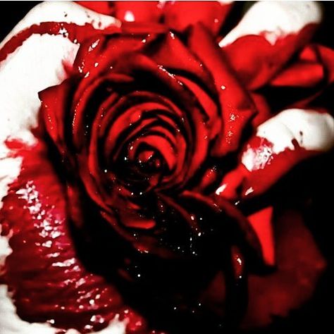 Rose Blood, Blood Art, Rosé Aesthetic, 다크 판타지, Dark Beauty, Red Aesthetic, Character Aesthetic, Grunge Aesthetic, Horror Art