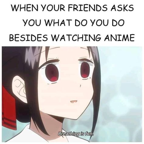 Anime Funny Memes, Funny Anime Memes, Otaku Issues, Anime Mems, Kaguya Sama, Anime Quotes Inspirational, Anime Things, Memes Anime, A Silent Voice